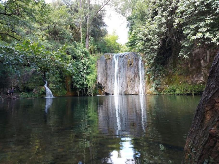 Finca Arep Alquiler Integro 6 Les Planes Les Planes d'Hostoles Buitenkant foto